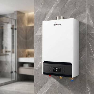 Rated Voltage AC220V Forced Exhaust Gas Water Heater Featuring Temperature Range 35 to 80 Degree Nominal Heat Input 21KW Suitable for Commercial