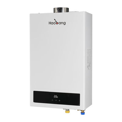 220V-240V/50Hz Energy Saving Balanced Flue Water Heater