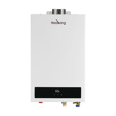 220V-240V/50Hz Energy Saving Balanced Flue Water Heater