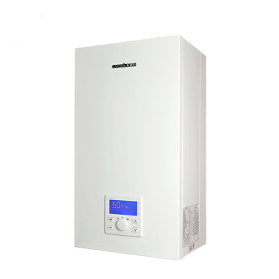 Industrial Grade Natural Gas Boiler with 2.54m3/h Gas Flow and 24KW Heating Efficiency