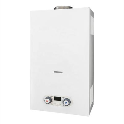 20L Flue Type Tankless Gas Water Heater LPG NG Wall Mounted