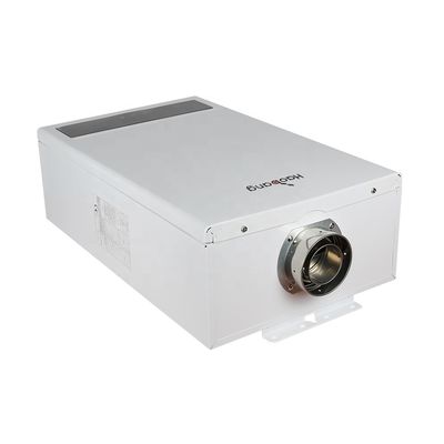 Wall Mounted IPX2 Waterproof Flue Gas Water Heater with ±1℃ Temperature Deviation and Coating Panel
