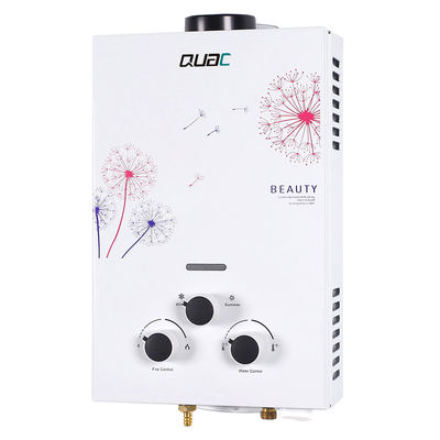 6L 12KW گاز گاز آبگرمکن گاز آب گرمکن اختیاری تابستان و زمستان کلید سفید